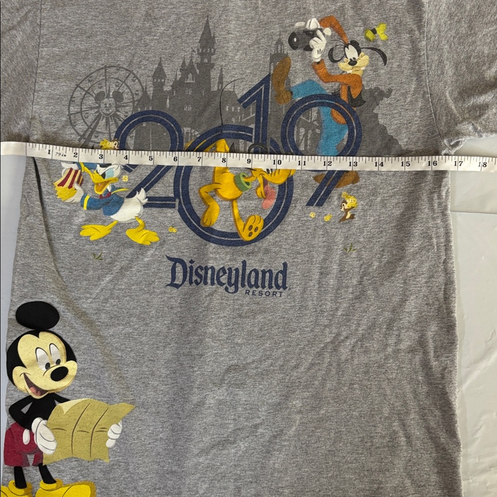 Disneyland 2019 Mickey Mouse Pluto Goofy Donald Graphic Tee Gray Size Small - Picture 5 of 7